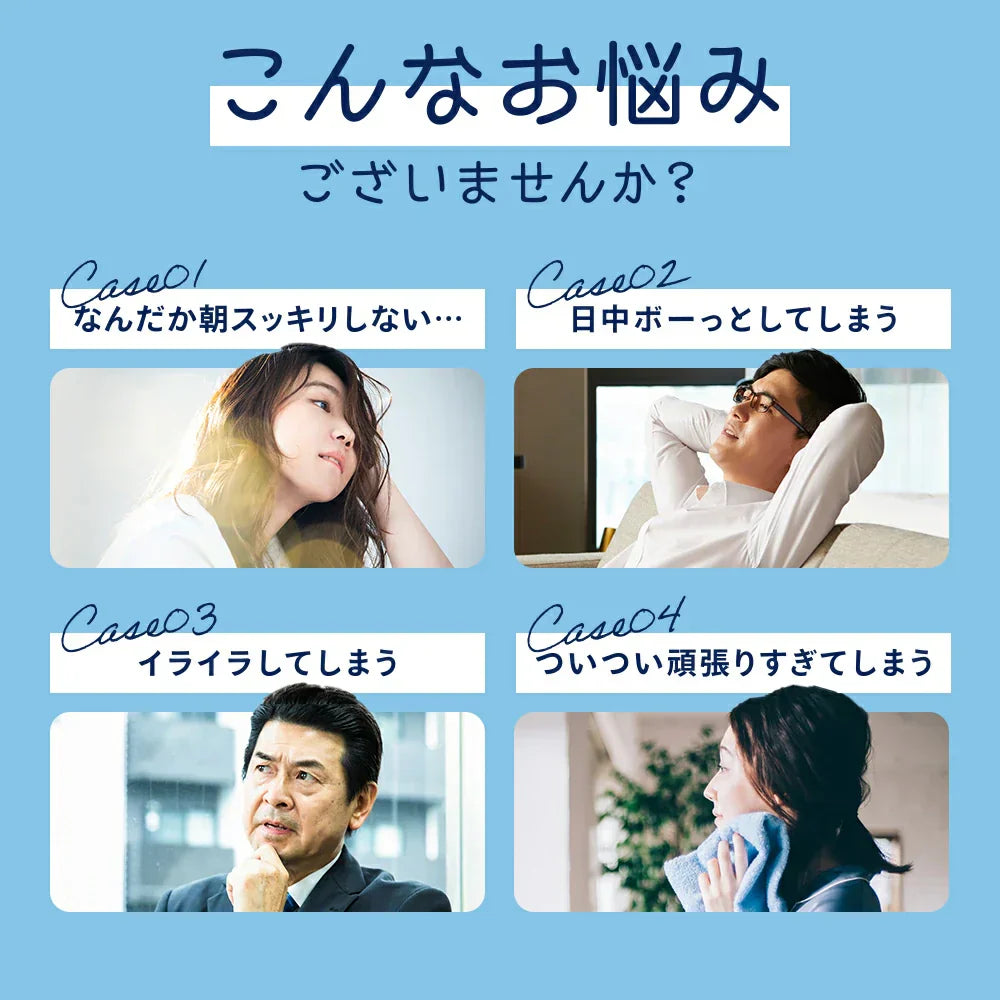 GABA《約12ヶ月分》ジョーンズワート クワンソウ 亜麻仁油 発酵紅参 イワシ抽出ペプチド 健康 サプリ サプリメント 休息 ストレス イライラ ギャバ【大容量】