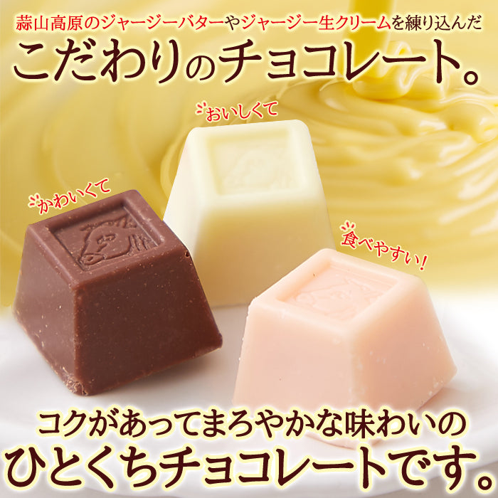 ジャージーミックスひとくちチョコレート200g /ネコポス送料無料