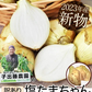 熊本県産 訳あり 塩たまちゃん 玉ねぎ たまねぎ 5kg 【5L-2Sサイズ不選別】 子出藤 (ねでふじ)さん 送料無料 塩タマネギ 新たまねぎ 塩玉ちゃん 塩玉 お取り寄せ お取り寄せグルメ《7-14営業日以内に出荷(土日祝除く)》