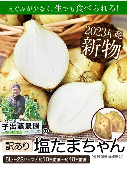 熊本県産 訳あり 塩たまちゃん 玉ねぎ たまねぎ 5kg 【5L-2Sサイズ不選別】 子出藤 (ねでふじ)さん 送料無料 塩タマネギ 新たまねぎ 塩玉ちゃん 塩玉 お取り寄せ お取り寄せグルメ《7-14営業日以内に出荷(土日祝除く)》