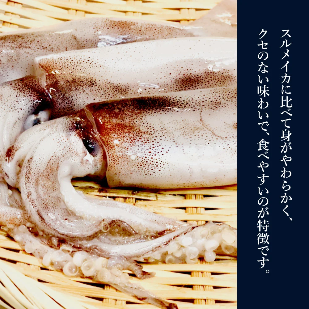無添加 噛むほどに旨い あたりめ 1㎏ (200g×5袋) メガ盛り 業務用 【あてめあて】