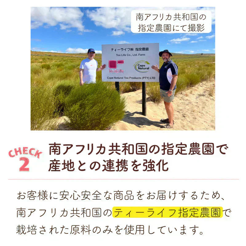 <98401>黒豆 ルイボスティー こだわりブレンド 100個入 （ 水出しOK ノンカフェイン ティーバッグ 大容量）