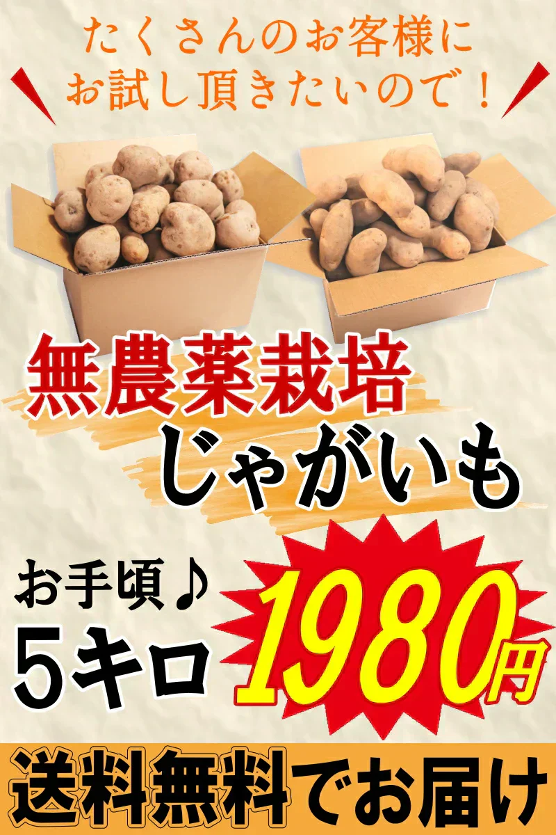岩手県産　じゃがいも　5kg　無農薬栽培　品種MIX（きたあかり・男爵）