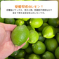 予約販売【防腐剤・防かび剤不使用・皮まで使える】国産グリーンレモン　愛媛県産　4kg 32～40球前後