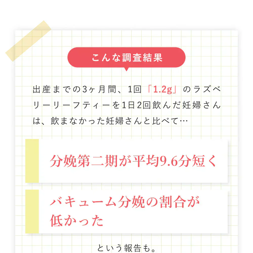 ラズベリーリーフティー 有機JAS認定 60包 無農薬 オーガニック シングルハーブ マタニティー 妊婦 安産 出産 産後ケア PMS 女性 お茶 ラズベリーリーフ ハーブティー ティーバッグ ノンカフェイン 出産準備