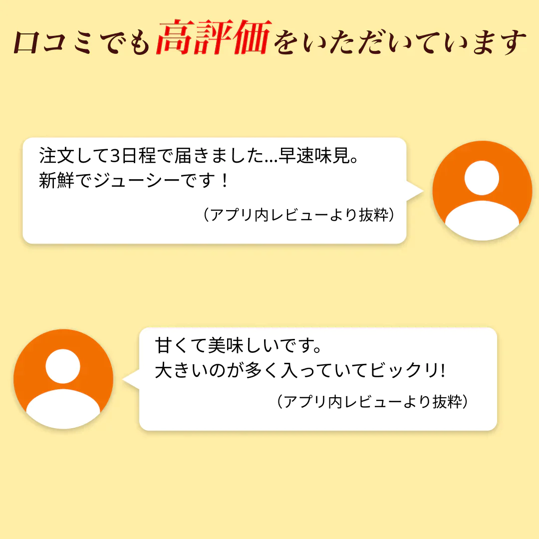【2月下旬～3月上旬頃より順次出荷】甘夏 みかん 訳あり 10kg 箱込 (内容量9kg+補償500g)  送料無料 サイズ無選別 熊本県産 あまなつ 川野夏橙 蜜柑