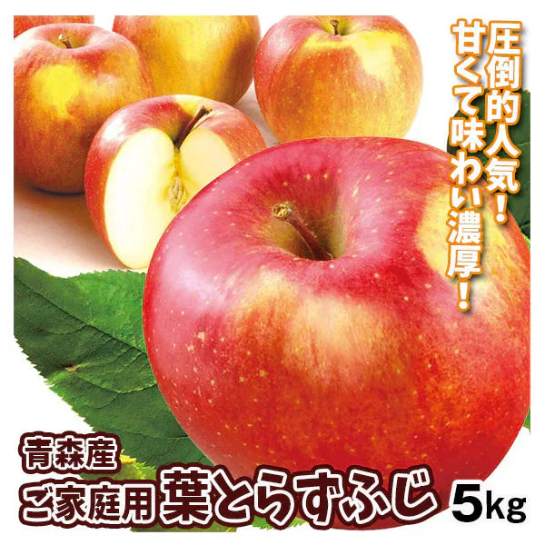 りんご 5kg 葉とらずふじ 青森産 ご家庭用【2025年1月より発送】