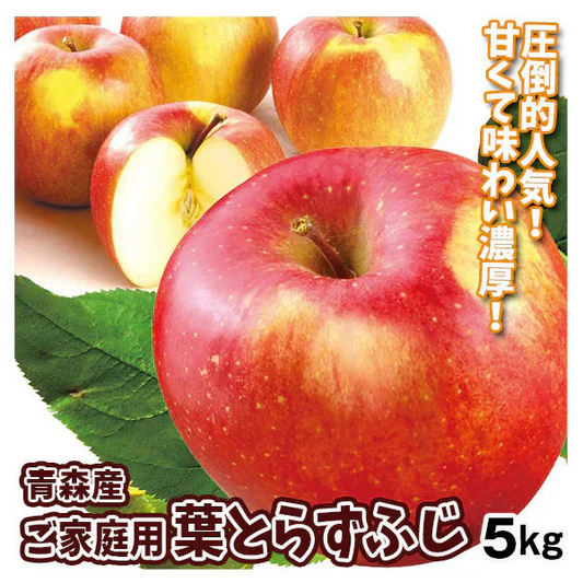 りんご 5kg 葉とらずふじ 青森産 ご家庭用【2025年1月より発送】
