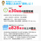 【無洗米】 はえぬき5割入りブレンド 10kg 山形県産 令和6年産 送料無料 無洗米10キロ こめ コメ お米 新米 お米10kg