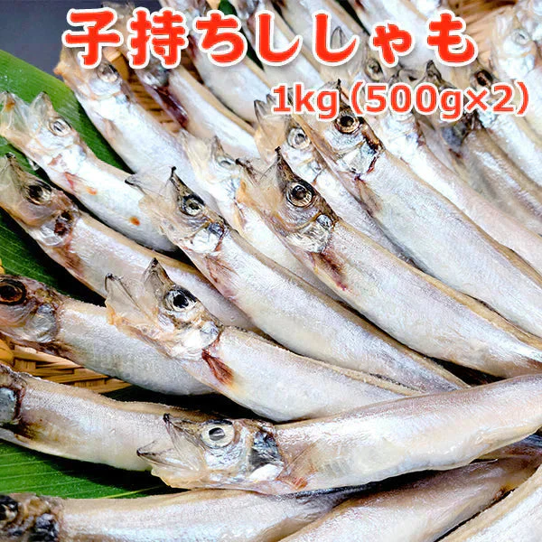 好評につき完売いたしました。子持ちししゃも 1kg（500g×2） 送料無料