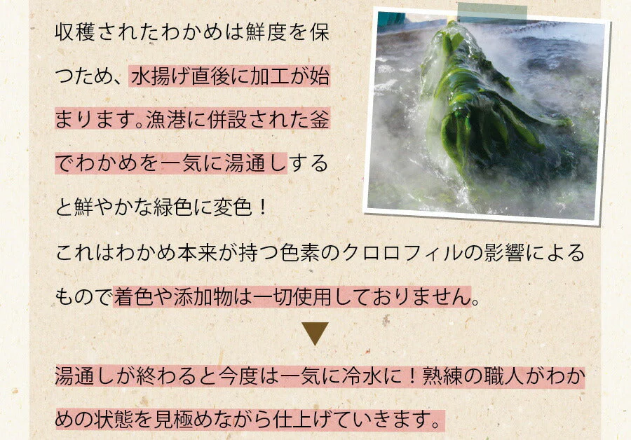 日本橋いなば園 三陸産カットわかめ 40g メール便送料無料