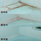 超強力 カビ取りスカット 100g / カビ取り剤 防カビ カビ お風呂 浴室 トイレ 窓 日本製