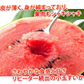 すいか 送料無料 訳あり 小玉すいか 2玉 約2～2.5kg スイカ 熊本すいか お取り寄せ すいか 西瓜 ひとりじめ 果物 フルーツ