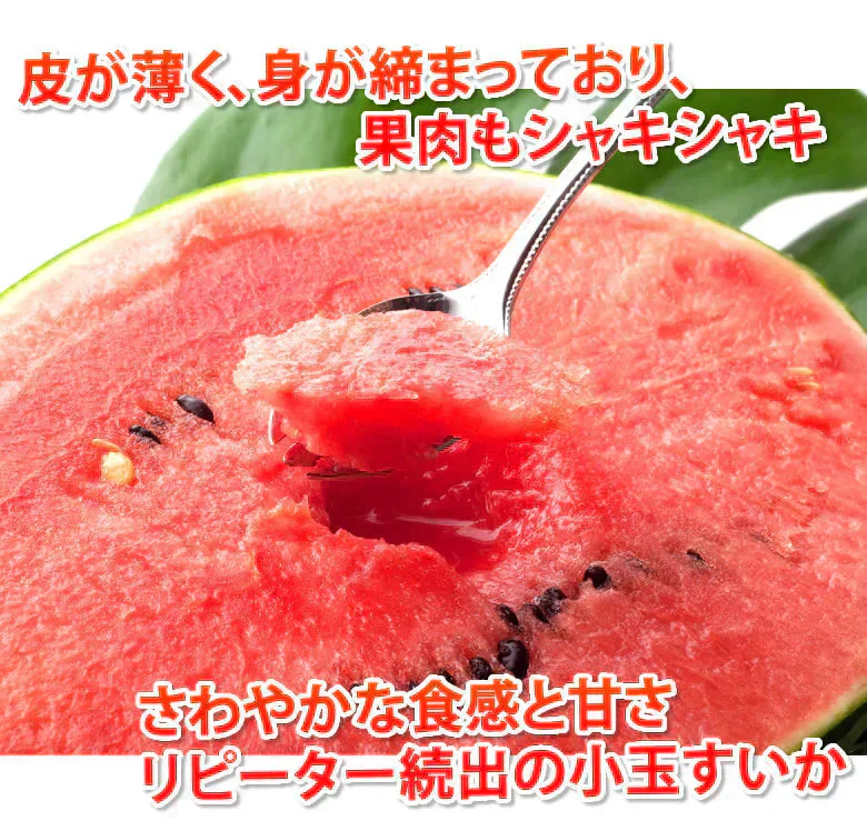 すいか 送料無料 訳あり 小玉すいか 2玉 約2～2.5kg スイカ 熊本すいか お取り寄せ すいか 西瓜 ひとりじめ 果物 フルーツ