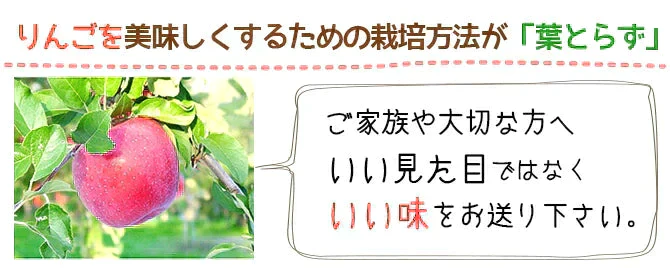 青森県産 訳あり 葉とらず ふじ りんご 約15kg※11月下旬よりご予約順に発送【指定日不可】