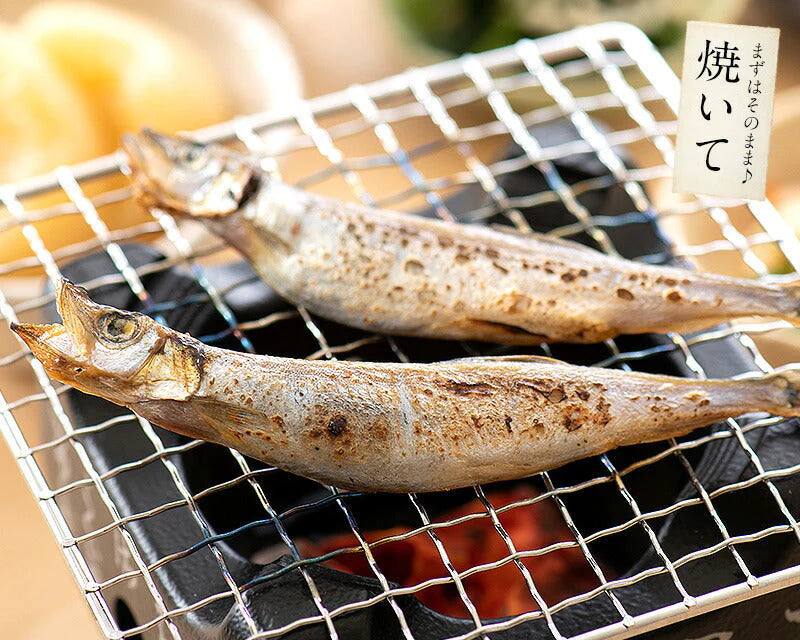 ししゃも シシャモ 子持ち 訳あり メス 1kg お徳用 1キロ 海産物 美味しい 冷凍 大量 魚 自宅用 子持ちししゃも まとめ買い 海鮮 食べ物 贈答用 グルメ 魚介 おかず おつまみ 酒のつまみ 酒の肴 贈り物 贈答 海鮮ギフトセット 母の日 プレゼント ギフト  母の日思いの 健康【エコ得リリースSALE】