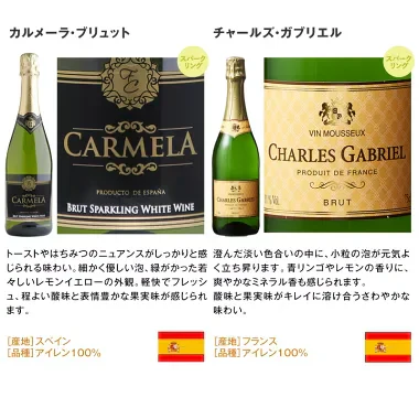 ワインセット 辛口 白ワイン スパークリングワイン 入り 10本 パーティーパック [常温]【4～5営業日以内に出荷】【送料無料】[W][WT10] 辛口ワイン 飲み比べ ワインギフト 母の日 父の日 ギフト