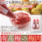 賞味期限2025年2月28日 はちみつ入り＆かつお☆紀州産南高梅のおいしい梅肉2本セット メール便