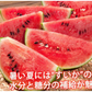 すいか 送料無料 訳あり スイカ 大玉すいか 1玉 約4.5kg～6kg M～L 熊本すいか お取り寄せ お取り寄せグルメ 熊本県産 すいか 西瓜 フルーツ