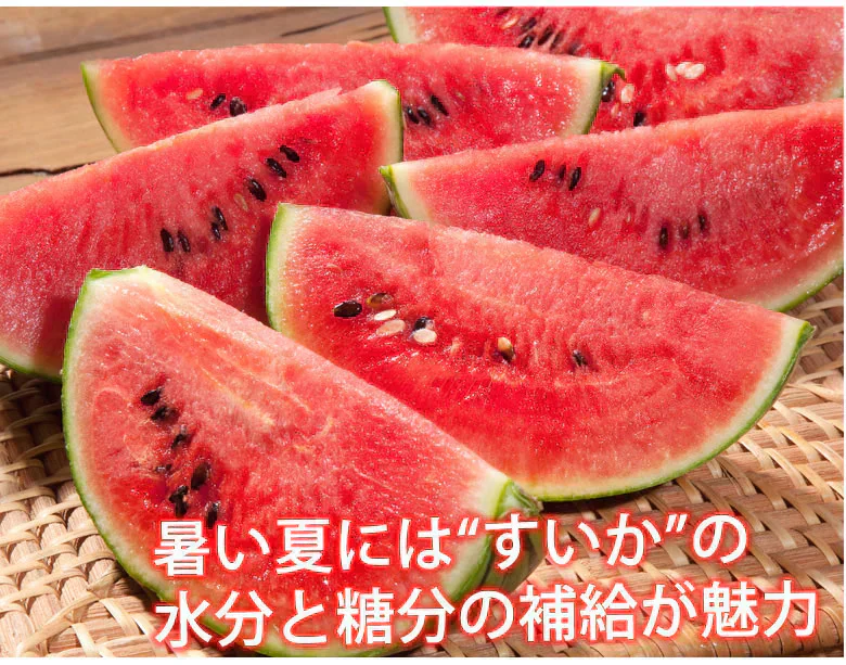 すいか 送料無料 訳あり スイカ 大玉すいか 1玉 約4.5kg～6kg M～L 熊本すいか お取り寄せ お取り寄せグルメ 熊本県産 すいか 西瓜 フルーツ