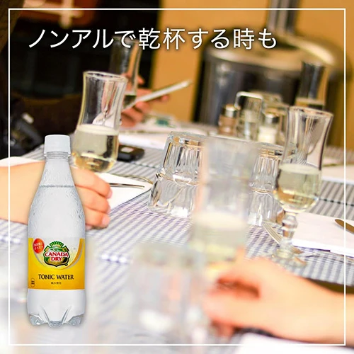 コカ・コーラ カナダドライトニックウォーター500ml 24本 2箱（計48本）炭酸 炭酸飲料 強炭酸 シトラス 割材 coca コカコーラ