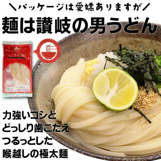 本場讃岐純生うどん 900g(300gx3袋) 約9人前 太麺 しあわせ製麺 しあわせうどん shiawase9