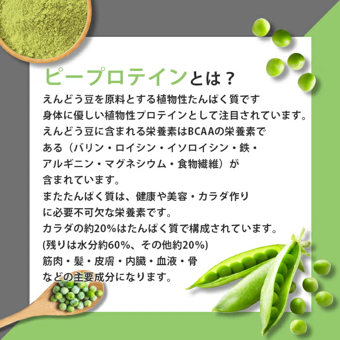 ピープロテイン 1kg  ピー リッチチョコレート フレーバー 国内製造 えんどう豆プロテイン (MADPROTEIN) マッドプロテイン