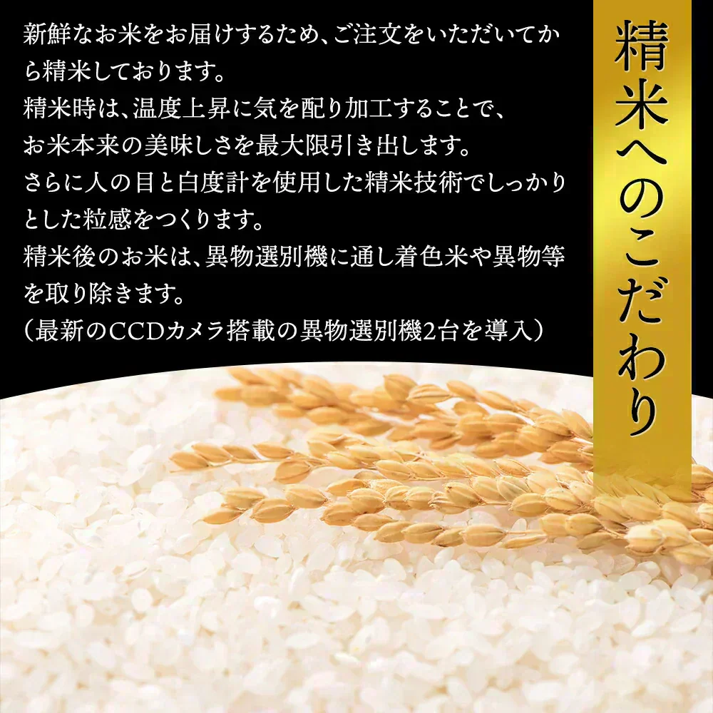 【令和7年】 山形県産 つや姫 10キロ (精米) 5kg×2袋  送料無料 米 コメ おこめ 新米