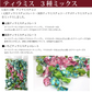 ピュアレ 3種ミックス　ティラミスチョコ 1袋220g入×1袋