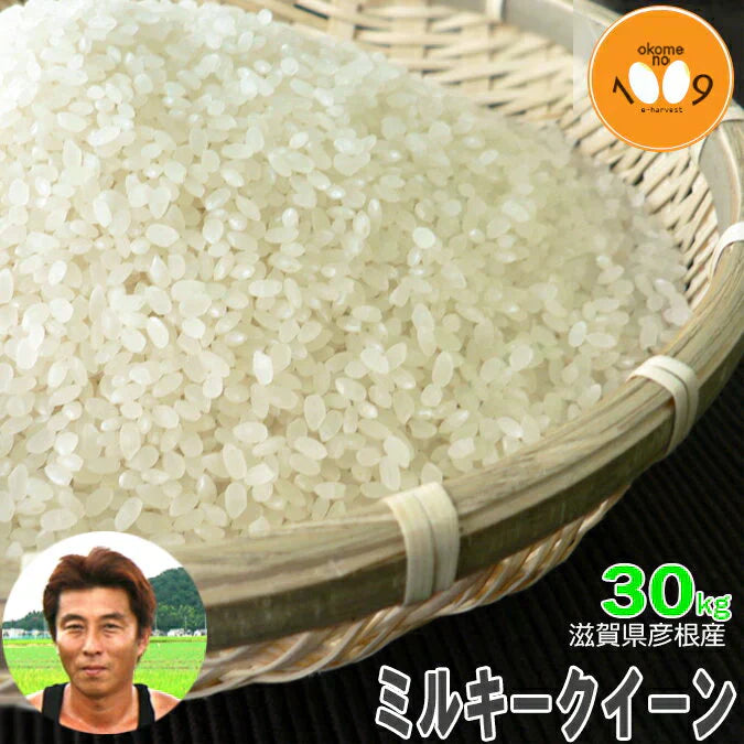 新米 滋賀県彦根産 ミルキークイーン 玄米 30kg 西村悟 令和7年産