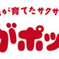 新じゃがポックル ストラップ カルビーポテトファーム キーホルダー 北海道 お土産 人気 プレゼント 贈り物 ギフト