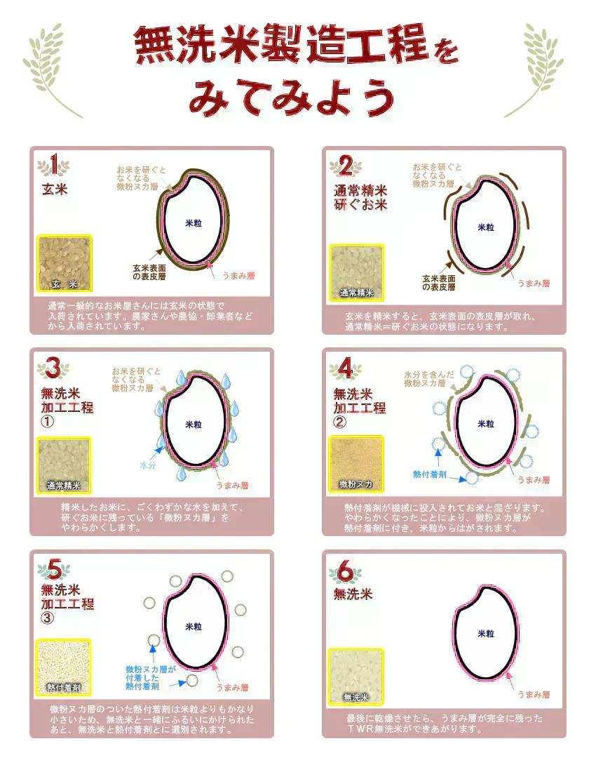 【令和7年産】無洗米 あきたこまち 無洗米 10kg 秋田小町 5kg×2 2025年産 人気銘柄