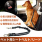 ペット用 シートベルト 犬 猫 お出かけ ドライブ リード 車 首輪 固定 飛び出し防止 長さ調節可能 ケージ クレート バックル挿すだけ リード ハーネスにつける