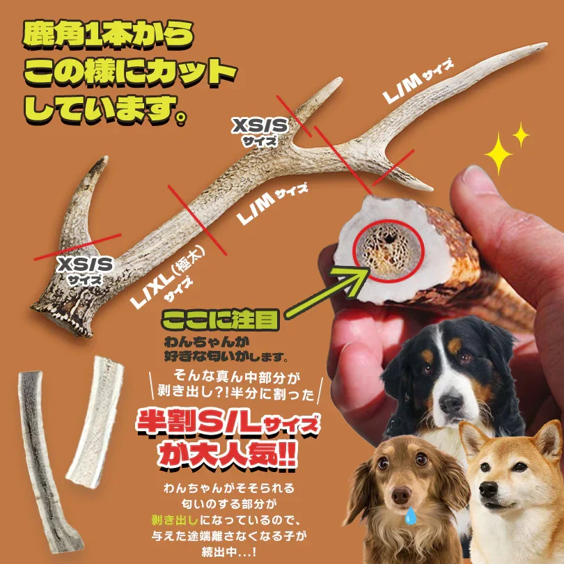 Deerhorn【半割ショート】 北海道産 鹿の角 鹿角 ペット 犬 おもちゃ 小型犬 半割 いたずら防止 おやつ デンタルケア ガム 天然 無添加