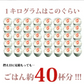 石巻加工 本格たらこ 1kg[ギフトにもおすすめの1本物！]石巻たらこマルイチ/食品/海鮮/魚卵/粒子/プチプチ/明太子もおいしい/ギフト/切れ子・バラコではございません