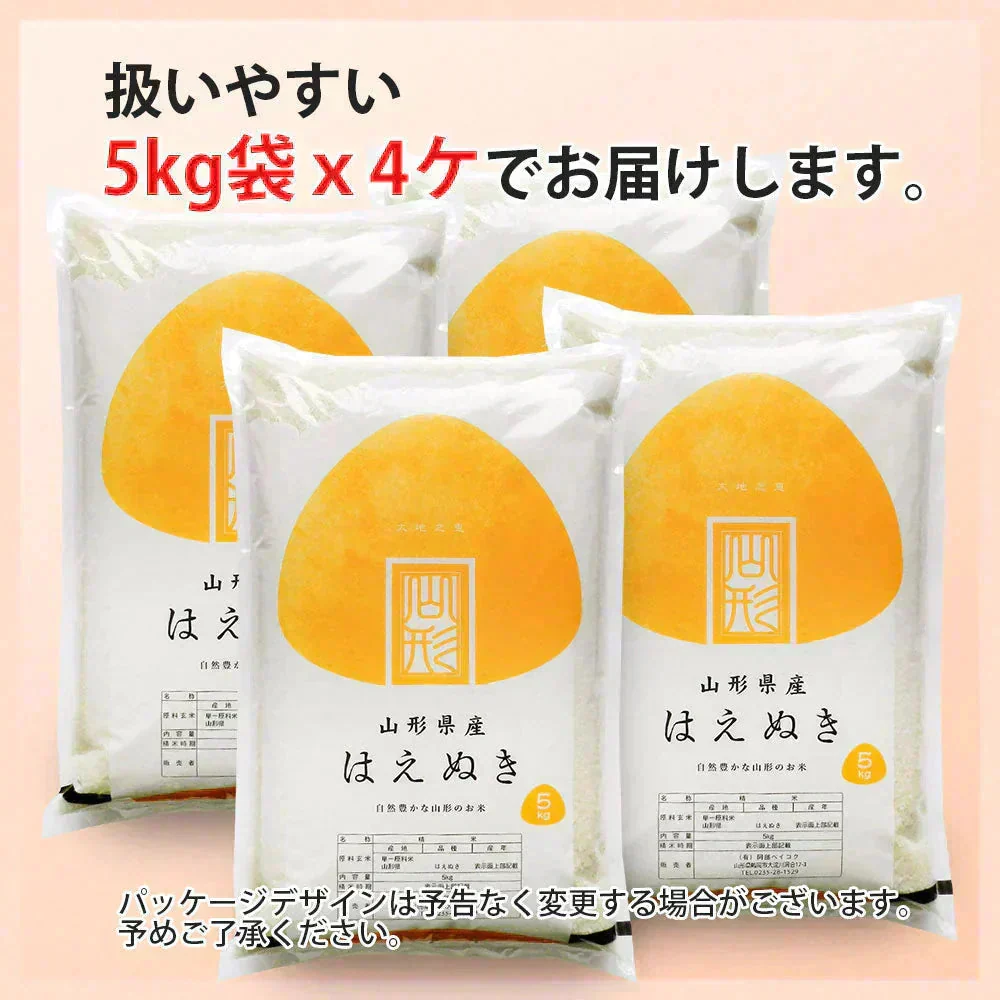 はえぬき 無洗米 20kg (5kg×4袋) 山形県産 令和7年産 送料無料 米 20キロ こめ コメ お米 精米 新米 お米20kg はえぬき20kg はえぬき20キロ