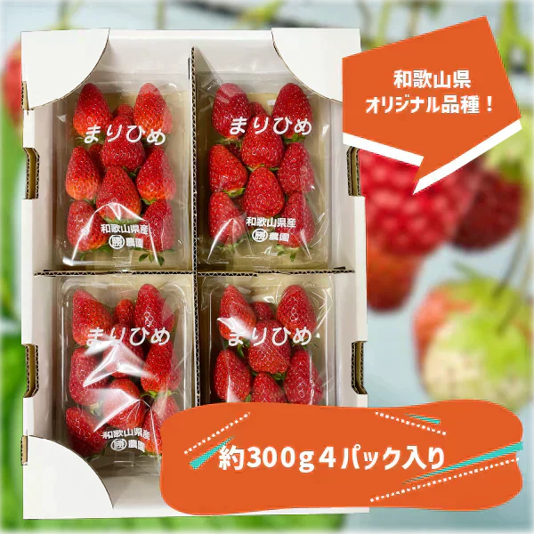 和歌山県産 まりひめ いちご M〜2L ４パック（250g×4パック）和歌山 紀の川市 ブランド 苺 イチゴ 送料無料 贈答 産地