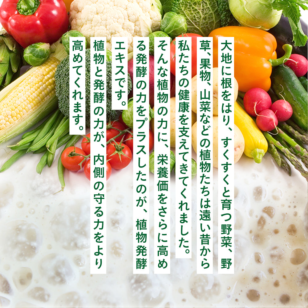 まいにち酵素《約1ヶ月分》野草 果実 海藻 キノコ 豆類を使用 送料無料 酵素サプリ