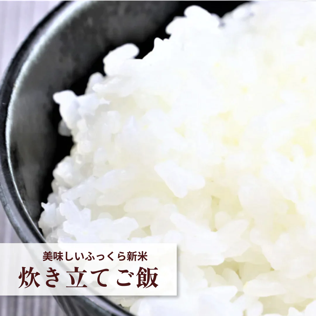 【新米】米 10kg 送料無料 福島県産ひとめぼれ 10kg(5kg×2袋) 令和5年産 白米 お米 精米済み あす楽