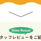 【最短当日出荷】★水出しOK★アレンジルイボスティー　シャインマスカット　カップ用３０個入　２袋セット（約60杯分 グリーンルイボスティー ティーバッグ ノンカフェイン ハーブティー）