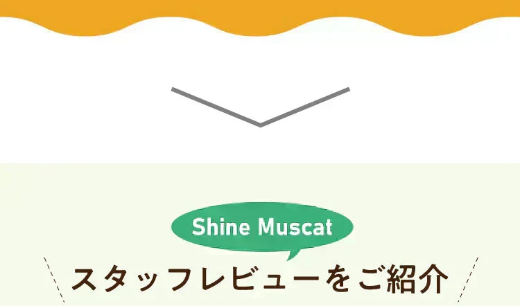 【最短当日出荷】★水出しOK★アレンジルイボスティー　シャインマスカット　カップ用３０個入　２袋セット（約60杯分 グリーンルイボスティー ティーバッグ ノンカフェイン ハーブティー）