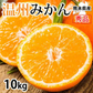 みかん 10kg 送料無料 温州みかん 秀品 熊本県産 蜜柑 ミカン