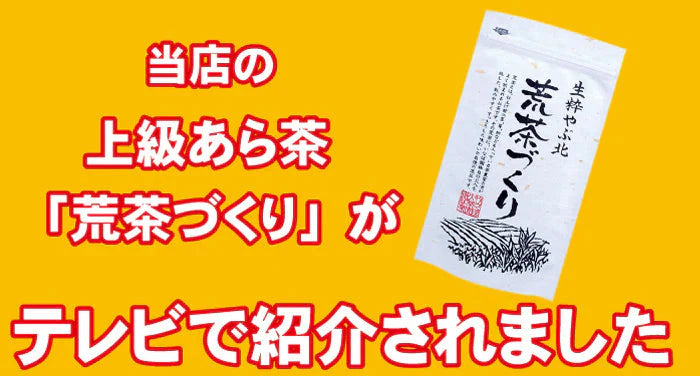 【2個セット】日本橋いなば園 静岡深蒸し茶 荒茶づくり 100g ネコポス メール便送料無料