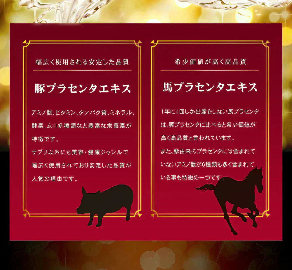 極プラセンタ《約3ヶ月分》 送料無料 プラセンタサプリ サプリメント ヘム鉄 豚プラセンタ 馬プラセンタ  フェルラ酸 ビタミン フィッシュコラーゲン 潤い【大容量】