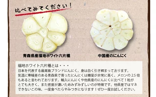 青森県産 むき身にんにく500g【真空冷凍】