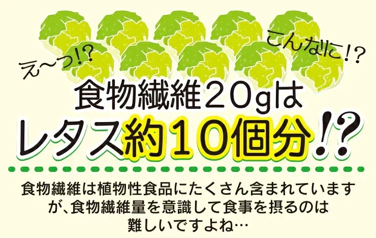 水溶性食物繊維＋生きてる乳酸菌パウダー500g／女王様のおすすめ！すごい食物せんい／芽胞乳酸菌までとれちゃいます。ぷるるん姫