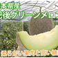 メロン 肥後グリーンメロン 送料無料 1玉 M～3L 熊本県産 肥後グリーン