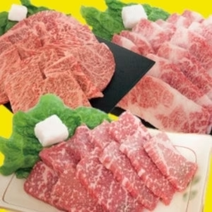 【産地直送！加工後チルドでお届け！鮮度抜群！この夏はみんなで食べよう！最高級焼肉セット】高級飛騨牛A5等級　3種焼肉セット600g（ロース・カルビ・もも各200g）真空パック/チルド冷蔵