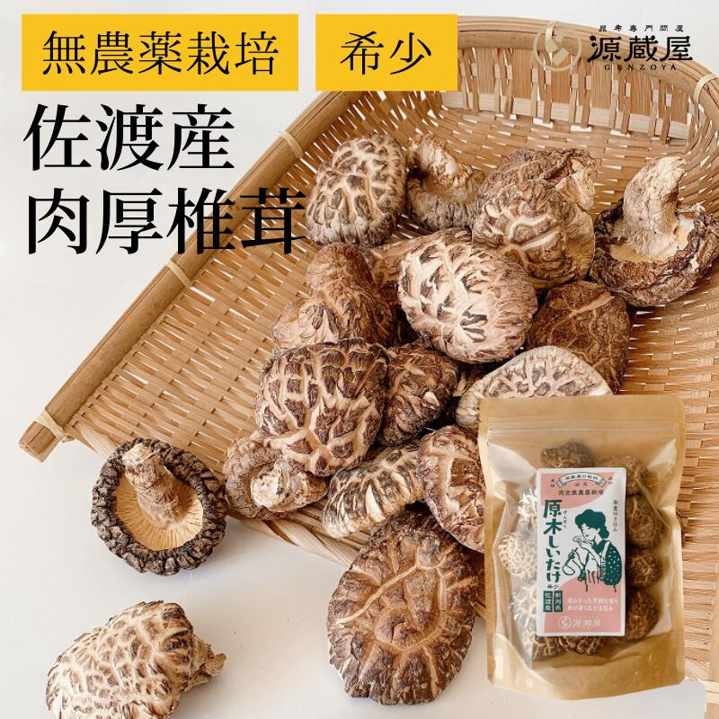 原木しいたけ 椎茸 肉厚 完全無農薬栽培 新潟県 佐渡産 60g
