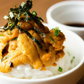 送料無料 完全 無添加 冷凍 Aグレード 綺麗な ウニ 100g×3パック 雲丹 うに ミョウバンなし